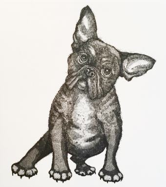 Brigitte Bardog